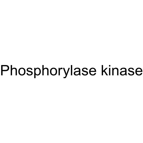 Phosphorylase kinase (PhK) 9001-88-1